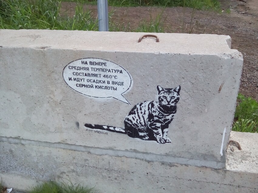 Не нравится погода