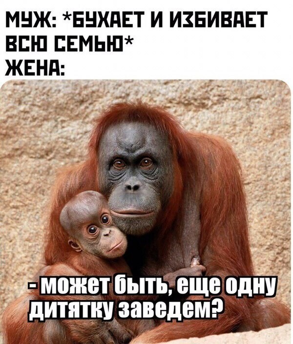 Картинки с надписями