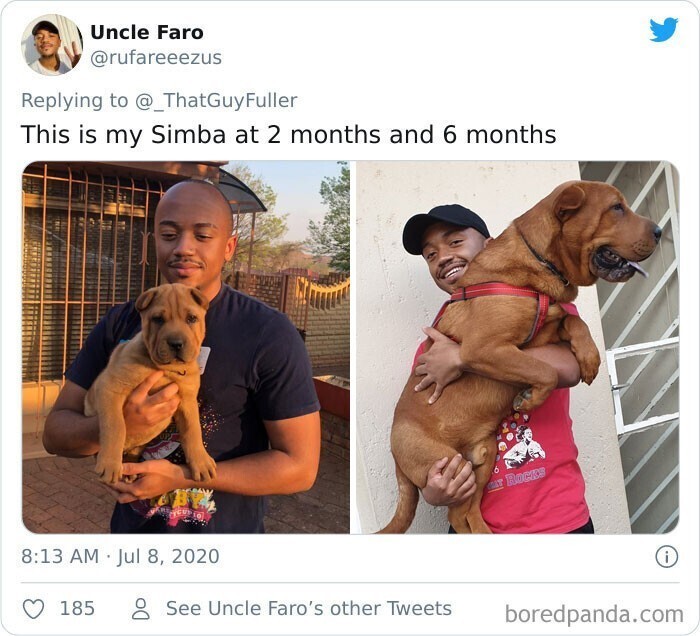 Симба: 2 месяца и 6 месяцев