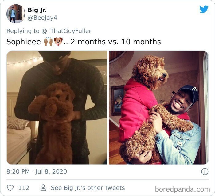 Софи: 2 месяца и 10 месяцев