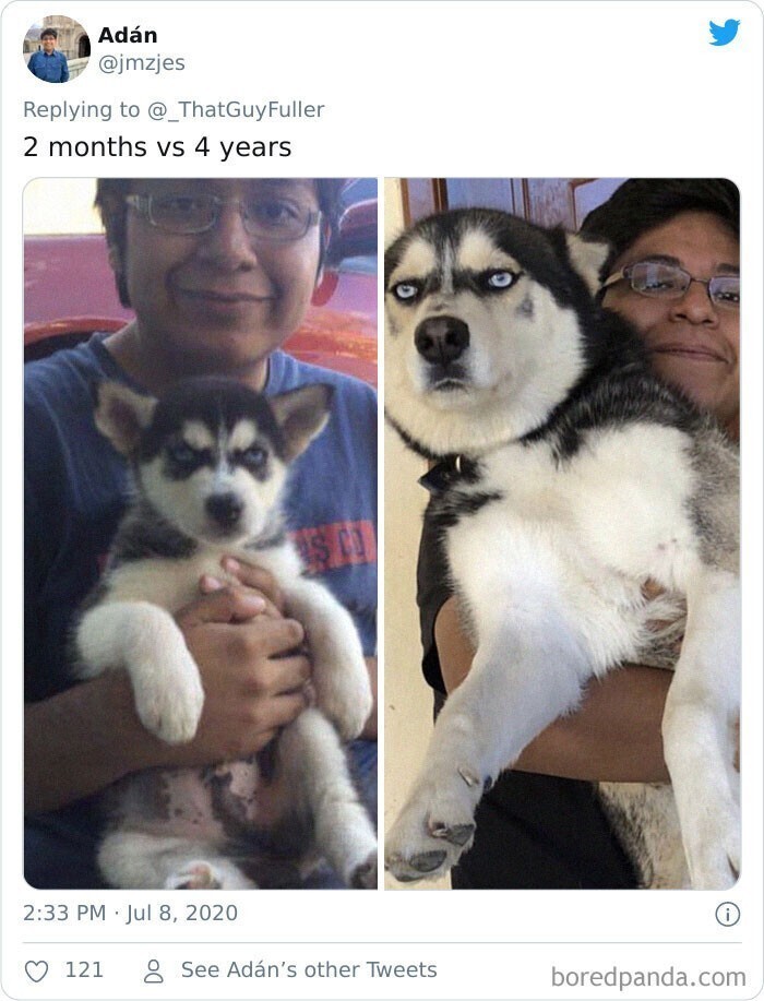 2 месяца и 4 года