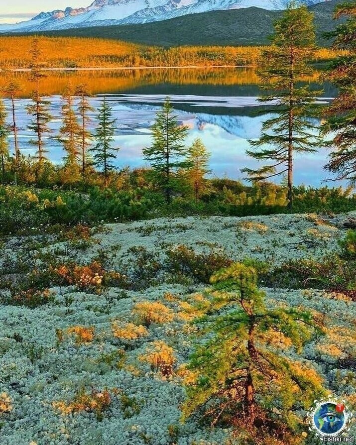 Озеро Джека Лондона, Россия
