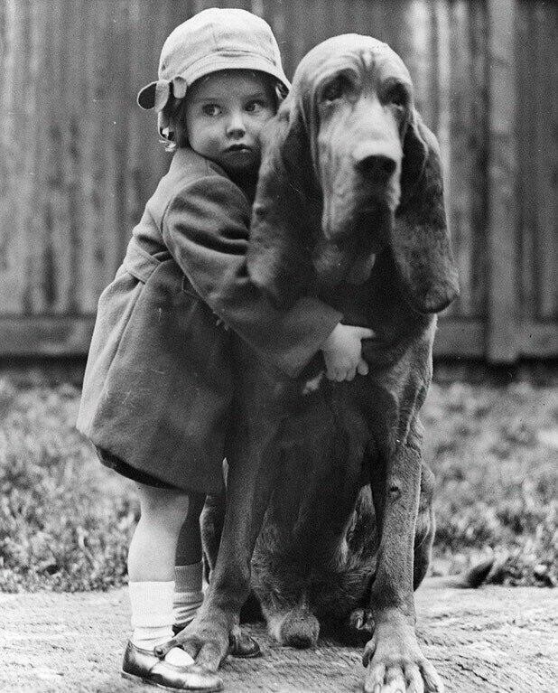 Маленькая девочка под защитой своего друга, Лондон, 1935 год