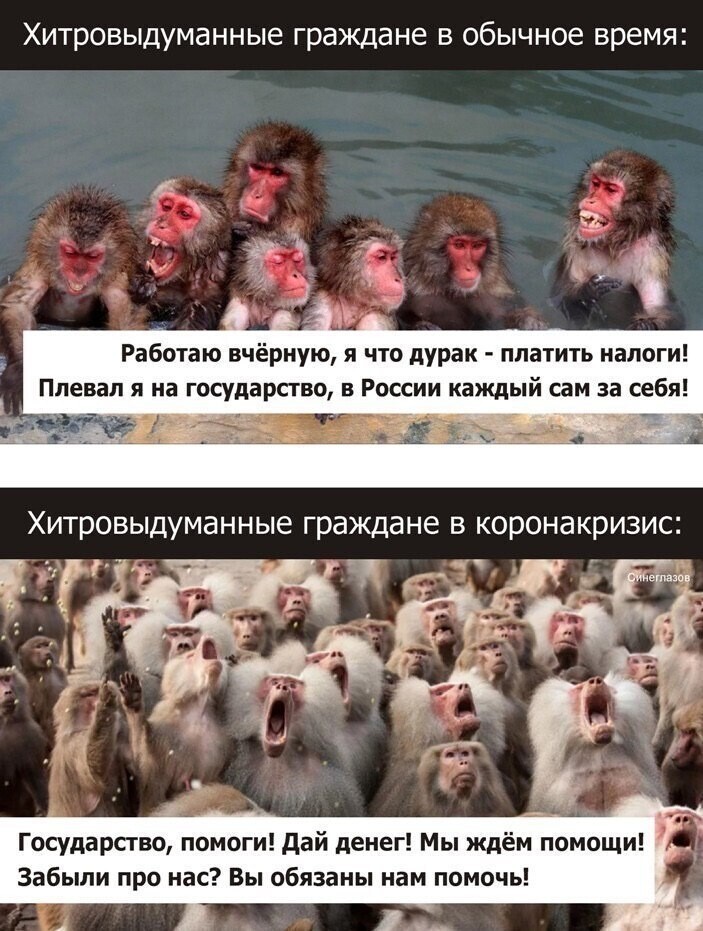 Политические комментарии из инета