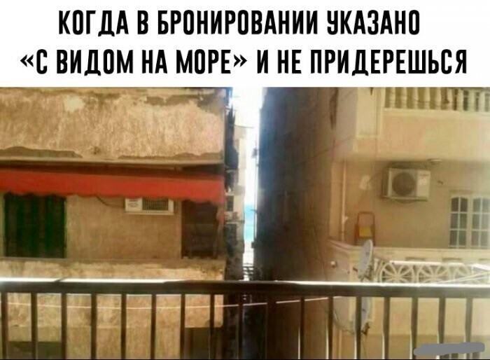 Смешные картинки