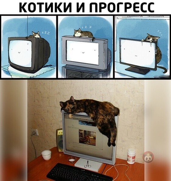 Прикольные и смешные картинки