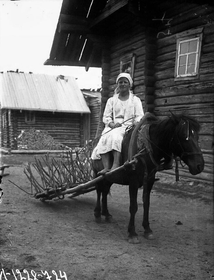 Женщина верхом на лошади, запряженной в борону Фото А.А.Беликова.
