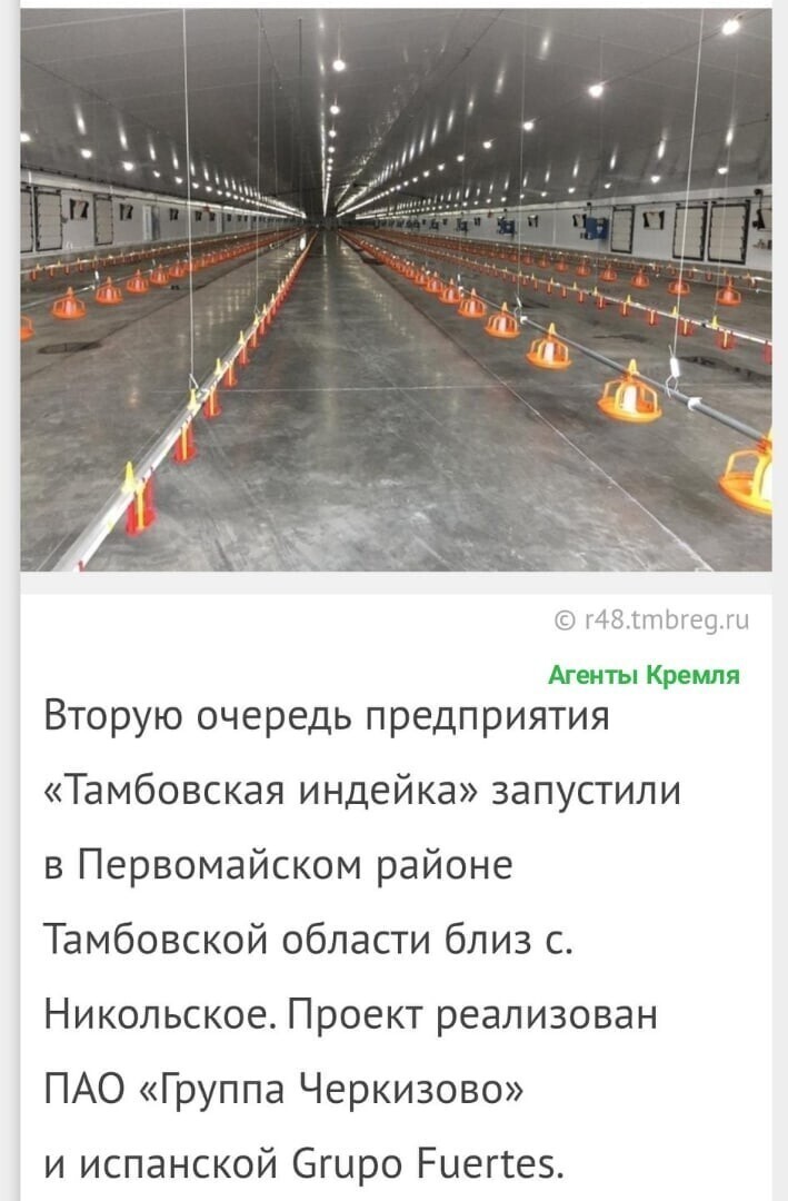 Политические комментарии из инета