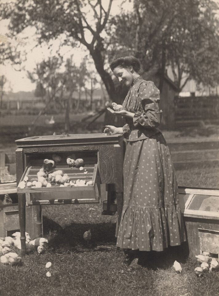 Женщина с цыплятами, 1910. Автор фото Рубен Р. Саллоус (1855-1937) Канада.
