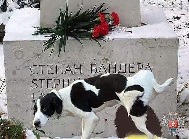 Политические комментарии из инета