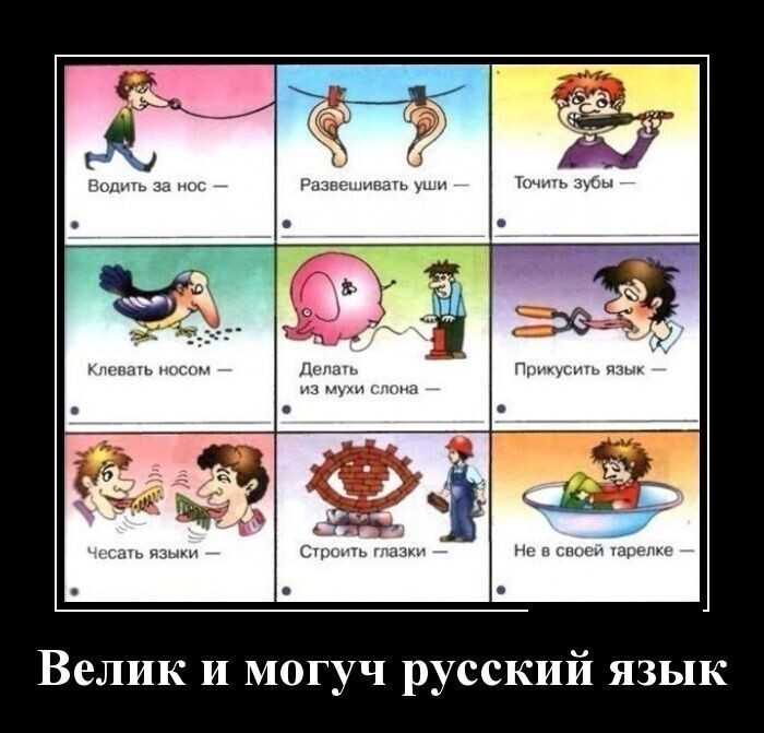 Образ русского языка в демотиваторах