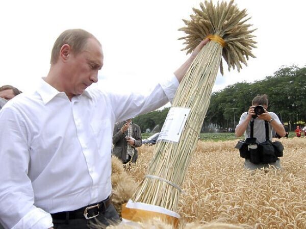 У России нашли новое политическое оружие - зерно