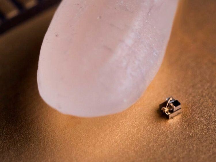 Самый маленький компьютер в мире по сравнению с рисовым зёрнышком