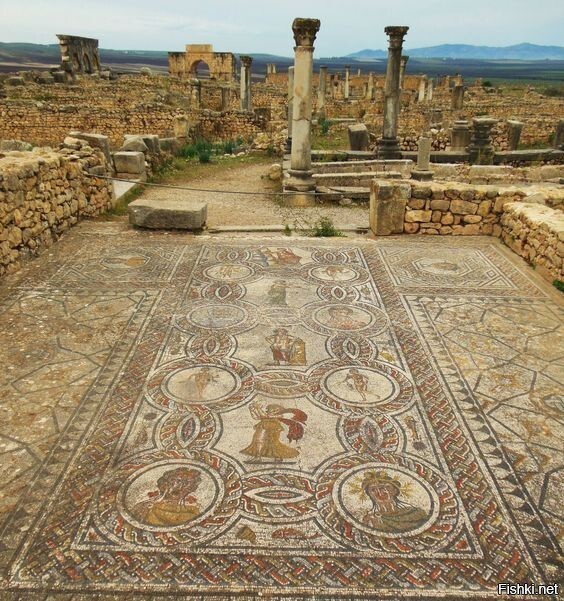 Мозаика римского Волюбилиса , Марокко 