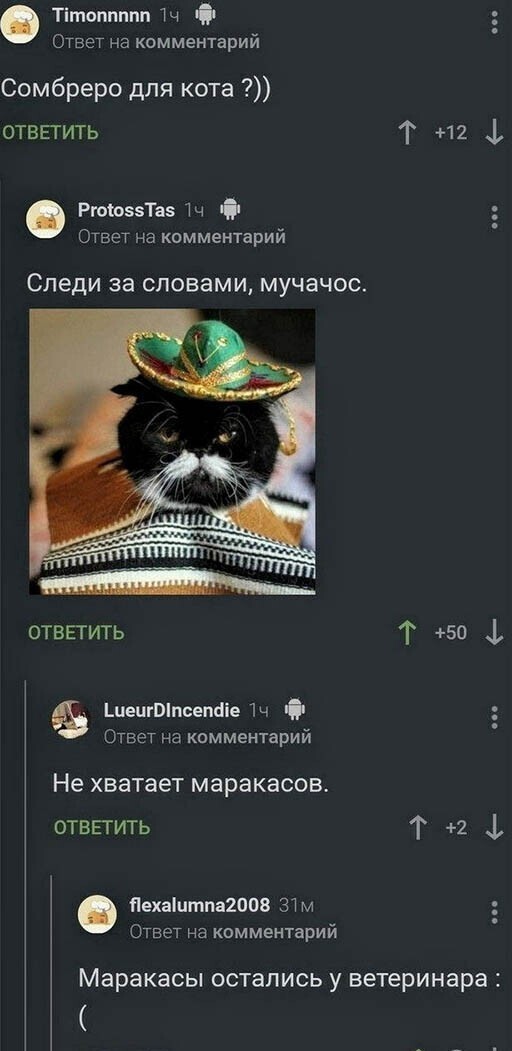 Прикольные и смешные картинки