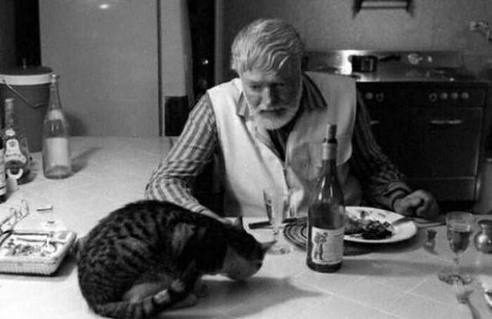 Эрнест Хемингуэй обедает с кошкой, 1950