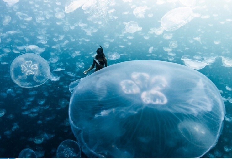 Индонезия: залив медуз, Раджа-Ампат