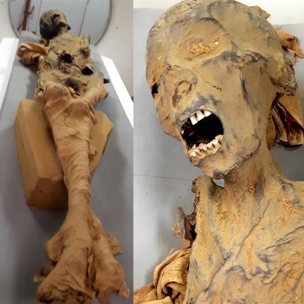 Египтологи раскрыли секрет мумии «кричащей женщины»