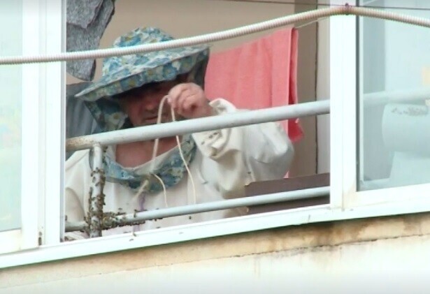 "Охренеть, идиоты": на балконе уральской многоэтажки поселили пчел