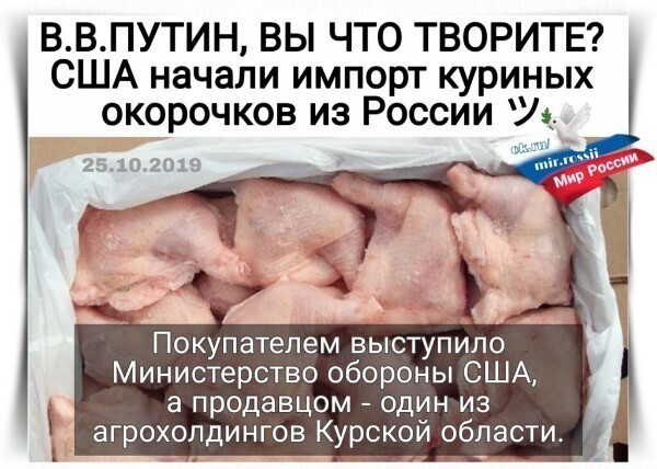 Политические комментарии из инета