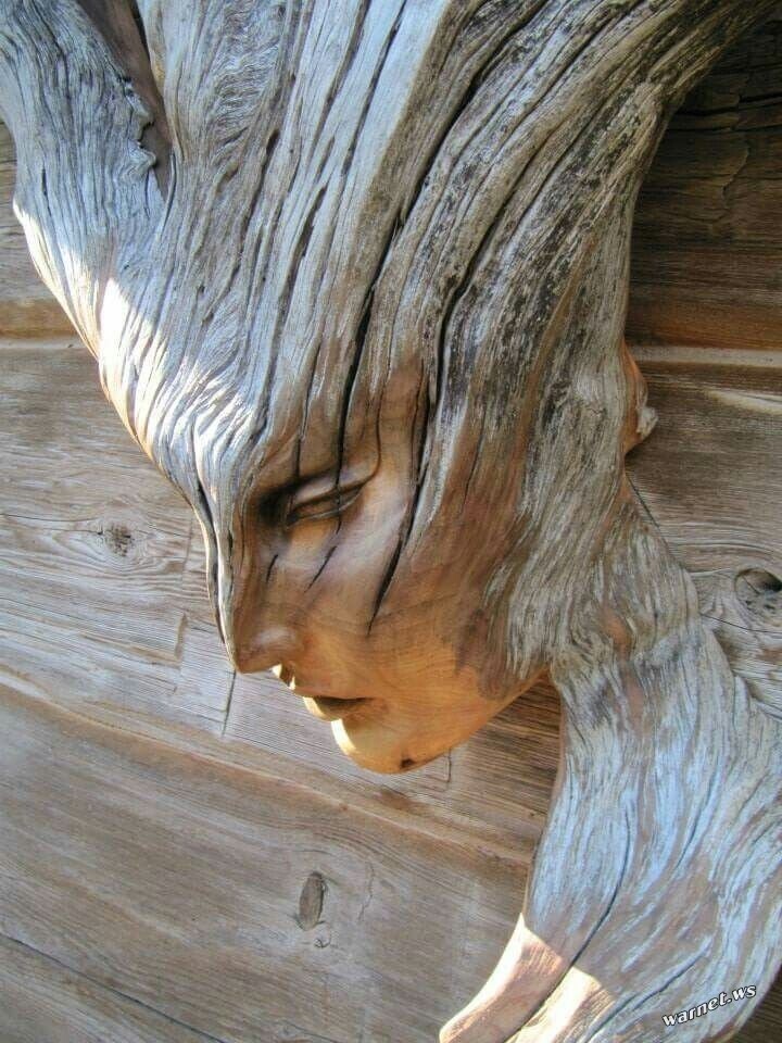 Творение из дерева