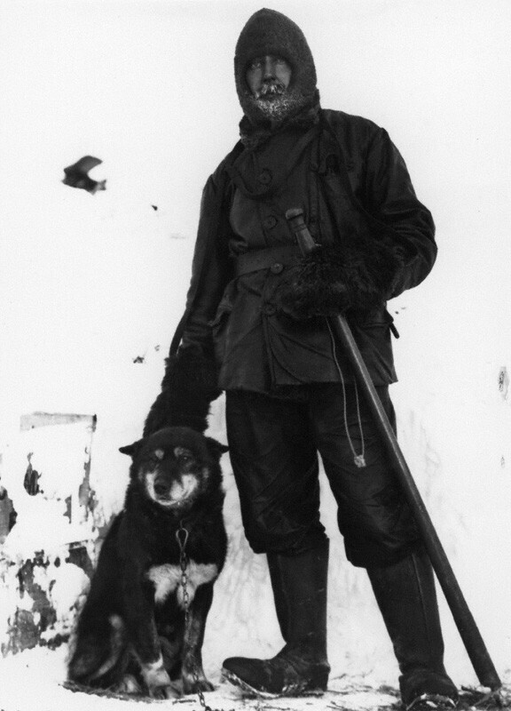 Сесил Мирз — специалист по лошадям и ездовым собакам. В марте 1912 года покинул Антарктику.