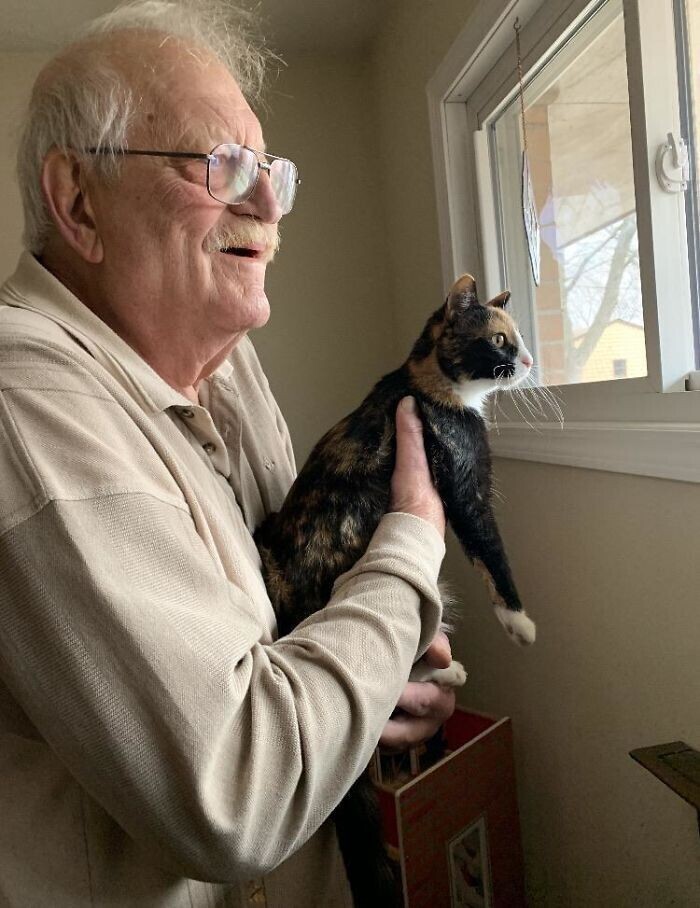 "Мой строгий папа, который был против кошки, показывает ей виды из окна"