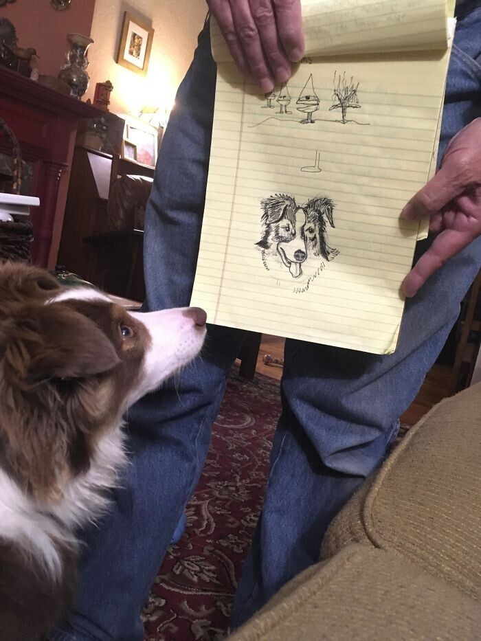 "Папа нарисовал портрет нашего пса, которого он сначала не хотел заводить"
