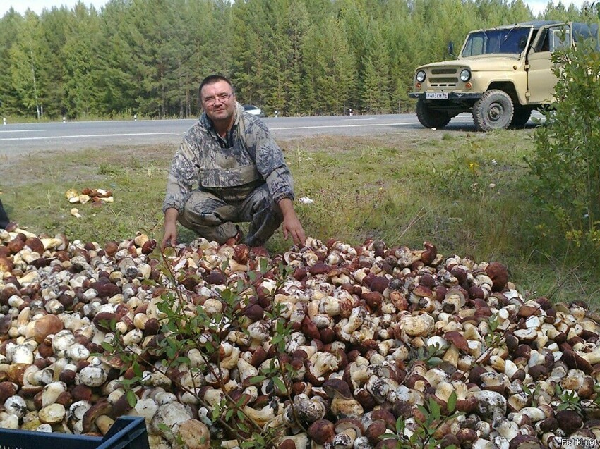 Такие фото выше моих сил