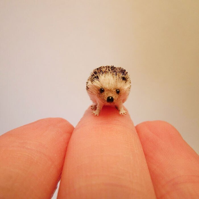 Художница создает невероятно реалистичные миниатюры животных