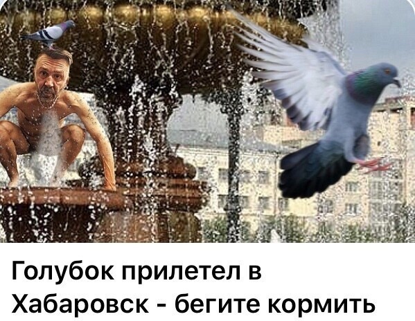 Политические комментарии из инета