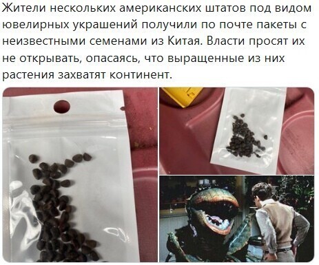 Политические комментарии из инета