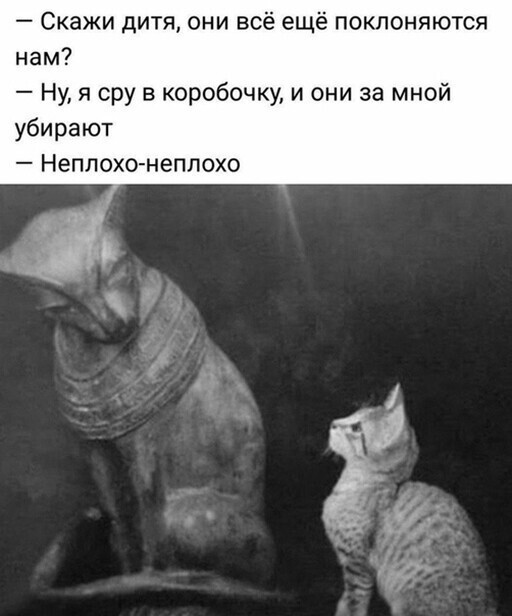 Прикольные и смешные картинки