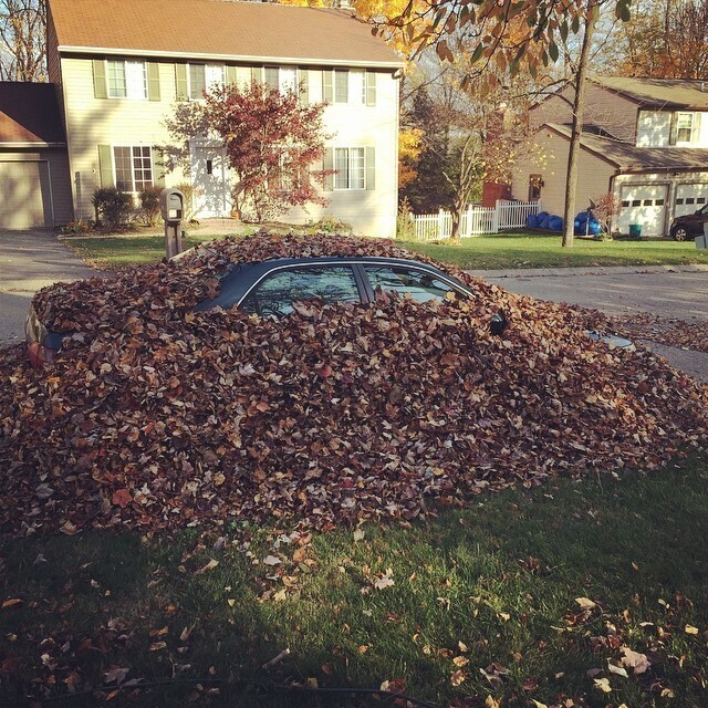 "Сын не хотел помогать убирать листья во дворе. Каким-то чудным образом они оказались у него на машине"