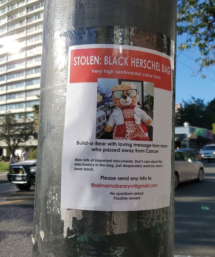 Вся Канада ищет украденного плюшевого мишку