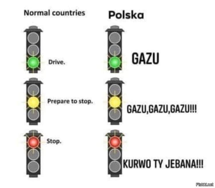 Кто ездил в Польше за рулём, тот поймёт