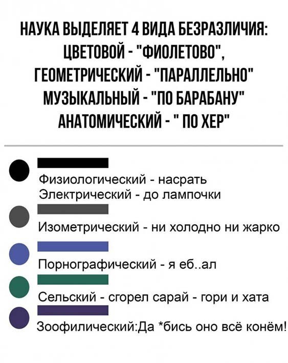 Прикольные и смешные картинки