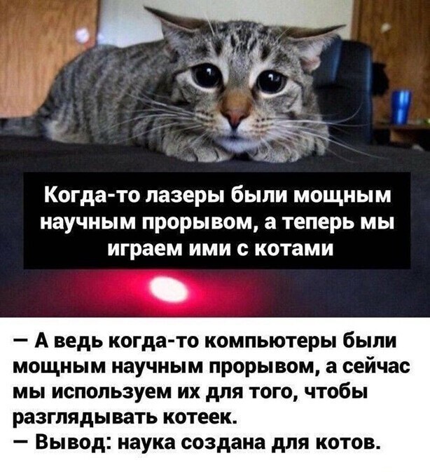 Прикольные и смешные картинки