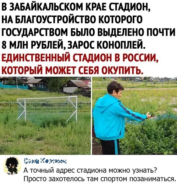 Прикольные и смешные картинки