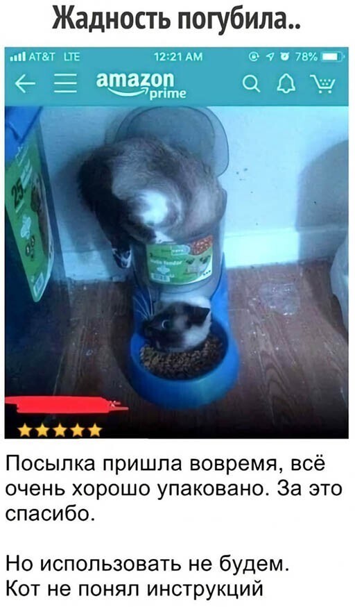 Прикольные и смешные картинки