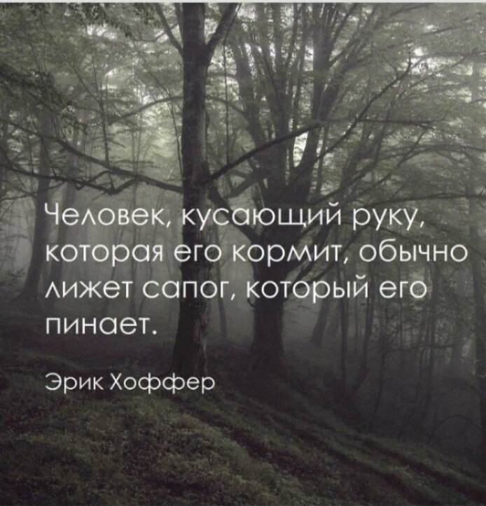 Политические комментарии из инета