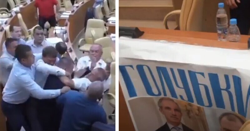 Депутаты в Ульяновске подрались из-за голубков