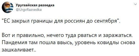 Политические комментарии из инета
