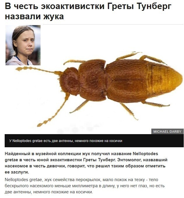 Я уже начал про нее забывать. Ан нет , вот она опять.