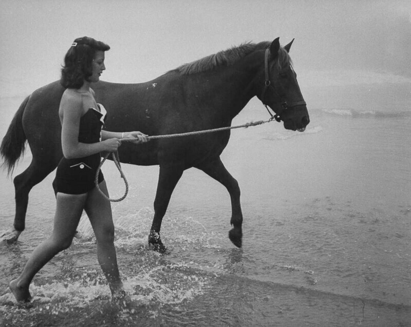 1953 год. Женщина с лошадью из дайвинг-шоу на пляже в Атлантик-Сити, Нью-Джерси.