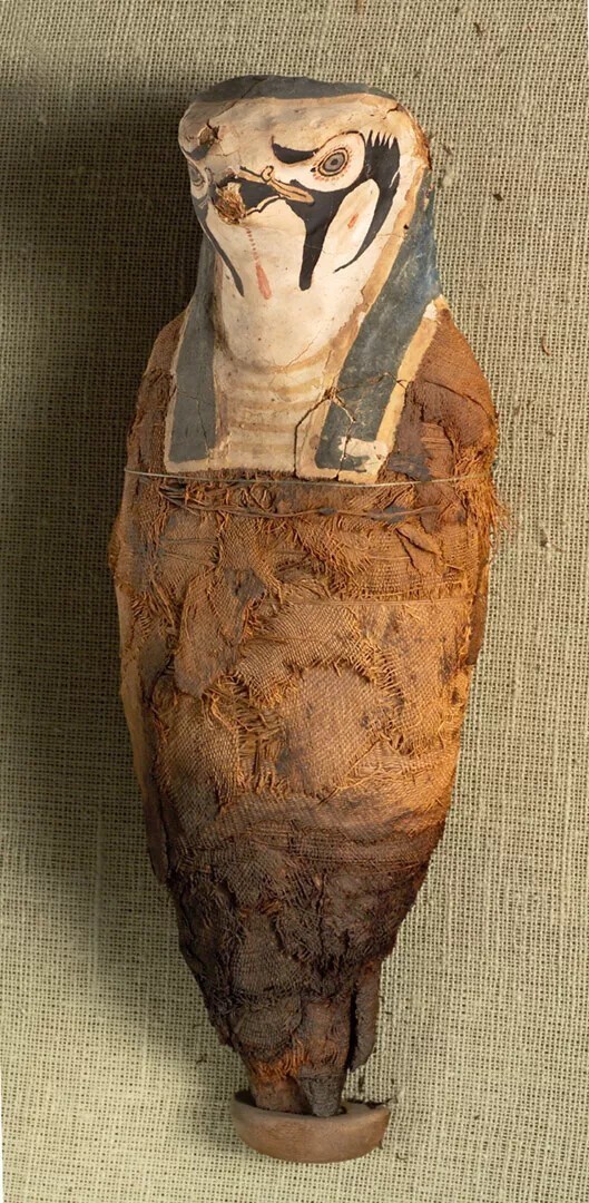 Маленькие древнеегипетские мумии раскрыли свои нечеловеческие тайны