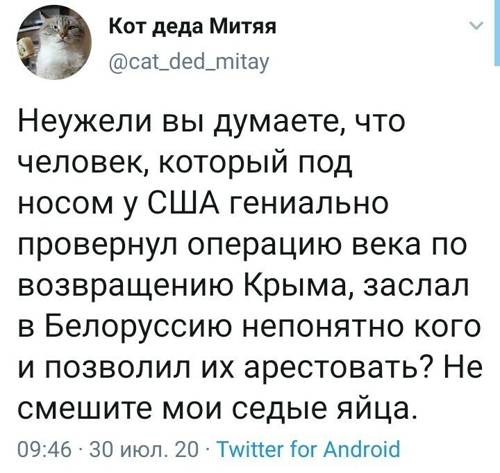 Политические комментарии из инета