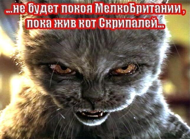 Политические комментарии из инета