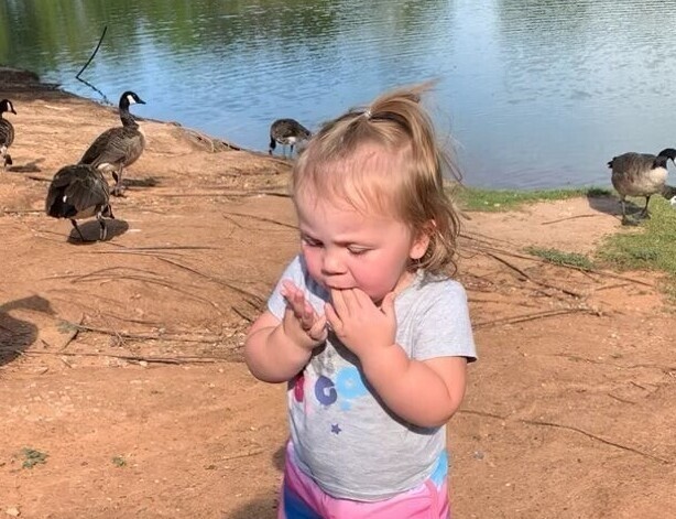 Взяли дочку в парк, чтобы покормить уток, но что-то пошло не так