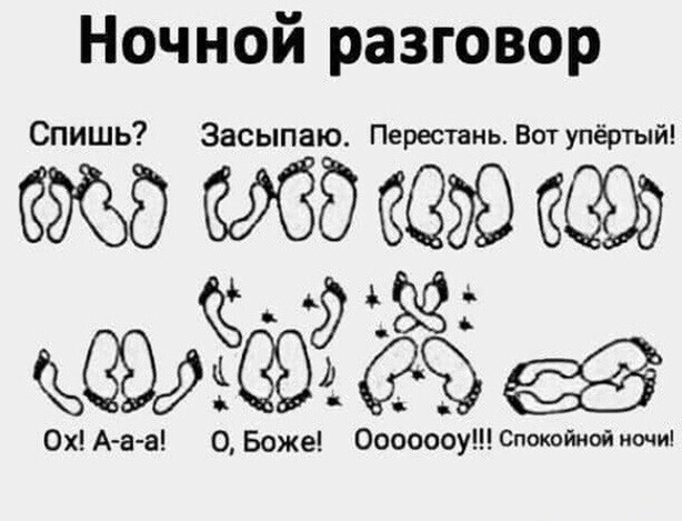 Прикольные и смешные картинки от Димон за 02 августа 2020 09:07